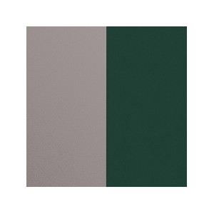 Cuir Les Georgettes 25mm Argenté/Vert forêt