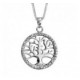 Collier argent Arbre de vie oxydes