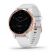 Montre Garmin VIVOACTIVE 4S 010-02172-22