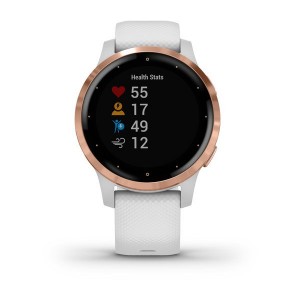 Montre Garmin VIVOACTIVE 4S 010-02172-22