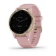 Montre Garmin VIVOACTIVE 4S 010-02172-32
