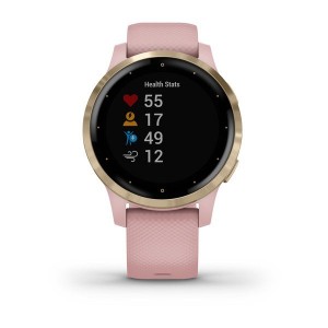 Montre Garmin VIVOACTIVE 4S 010-02172-32