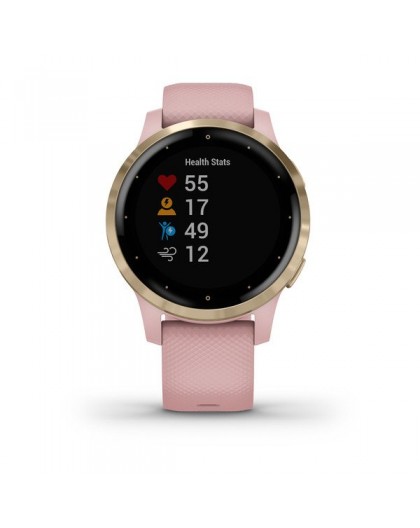 Montre Garmin VIVOACTIVE 4S 010-02172-32