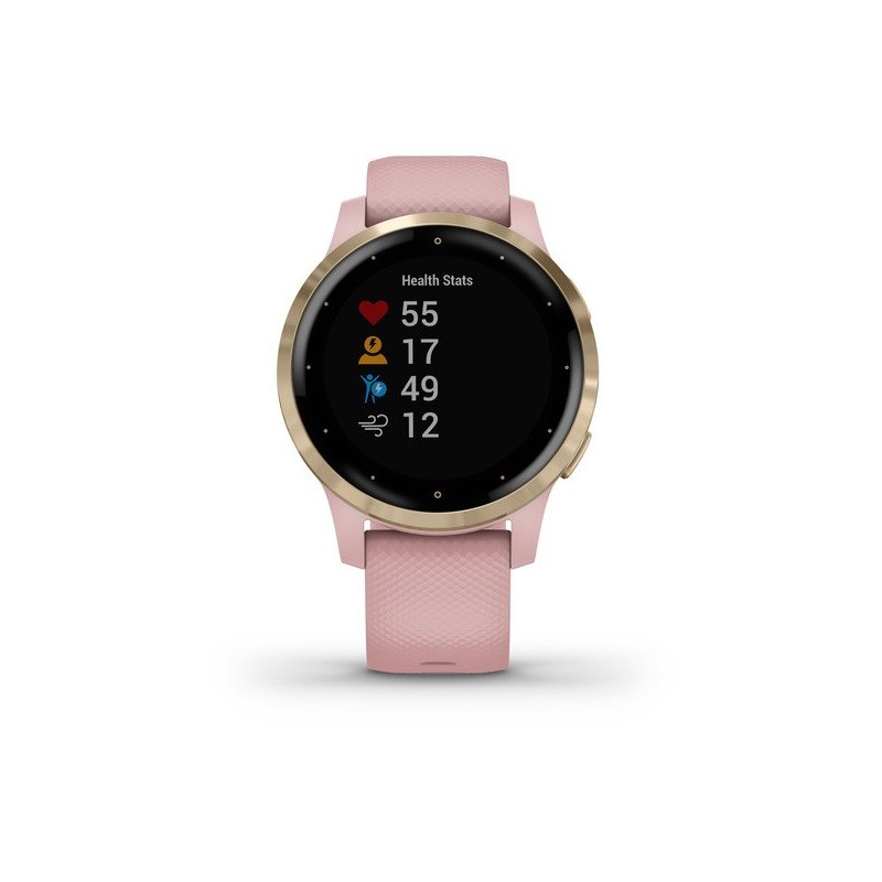 Montre Garmin VIVOACTIVE 4S 010-02172-32