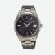 Montre Seiko SUR373P1 classique titane