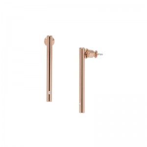 Boucles Oreilles Skagen Bijoux SKJ1080998 tube