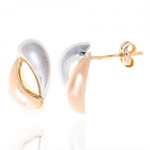 Boucles Oreilles modernes bicolores