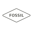FOSSIL GROUP